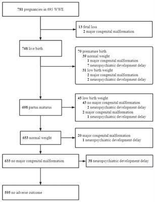 Pregnancy characteristics and adverse outcomes in offspring of women with epilepsy: a prospective registry study from Mainland China